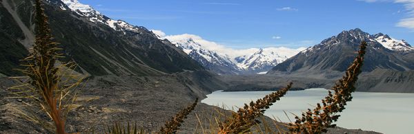 Mount-Cook Neuseeland Südinsel