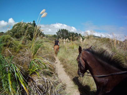 Strandritte in Pakiri NZ